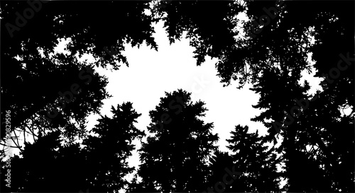 vector silhouette of dark forest tree tops
