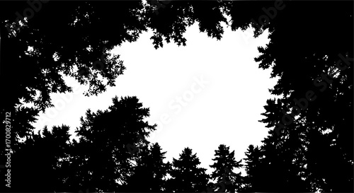 vector silhouette of dark forest tree tops
