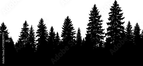 vector silhouette of dark forest tree tops
