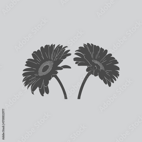 Daisy Black Flower Vector for Home Decor