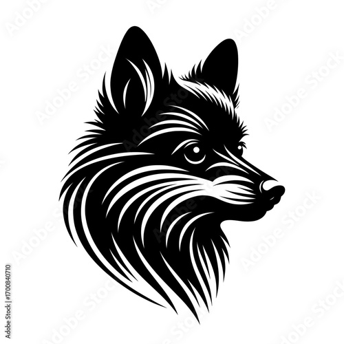 Schipperke dog side view vector. Diversity of breeds, pet and friend for human. Vet clinic professional services, grooming salon and dog food decoration