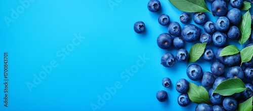 Fresh Blueberries Arranged on a Vibrant Blue Background With Green Leaves Add...