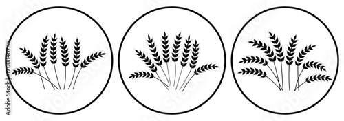 Wheat spikes, barley sheaf with grain set in circle. Vector icon isolated on white background. Agriculture symbol. vector illustration.
