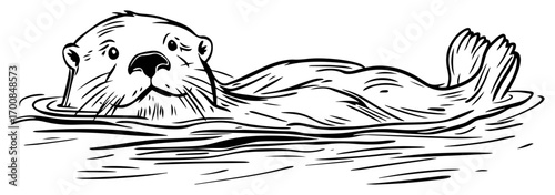 Relaxed sea otter floating on back – adorable marine mammal sketch vector illustration