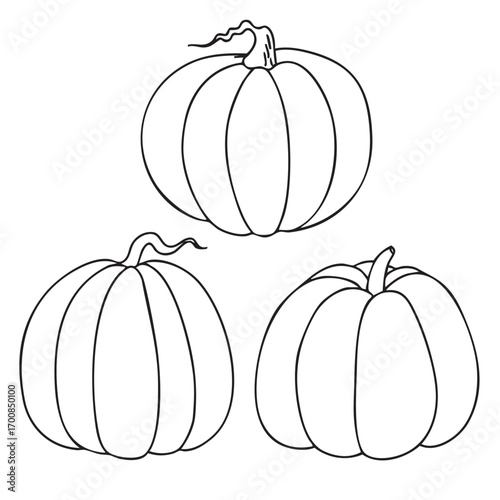 Hand drawn vector doodle of pumpkins