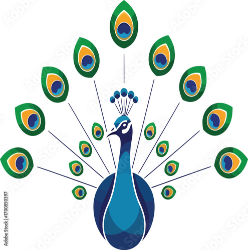 vector, illustration, peacock with beautiful, lovely feather colors, poster, transparent background, nature
