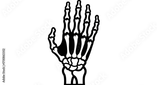 Graphic Black and White Skeleton Hand Displaying Human Anatomy
