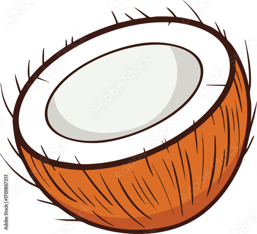Coconut half shell with textured brown outer skin and white inner flesh vector illustration 