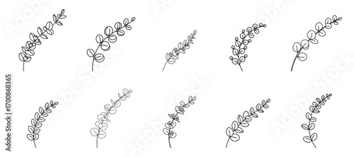 sketch, black and white, hand drawn, intricate line art, elegant, floral, leaves, nature, botanical, delicate, high detail, intricate, precise linework, wispy, graceful, organic, natural
