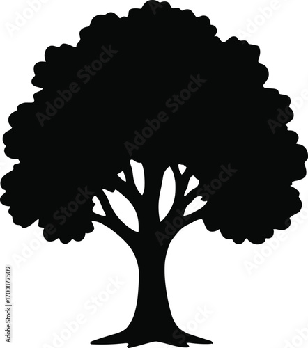 vector silhouette, maple tree dense rounded crown, solid black