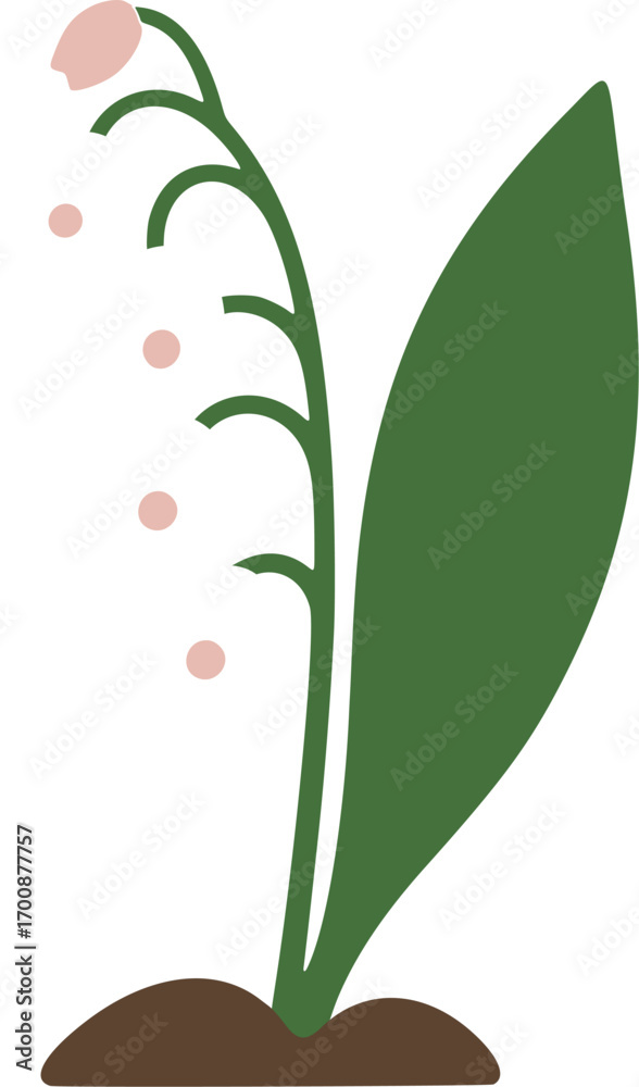 Obraz premium Lily of the Valley Illustration – White Spring Flower Vector