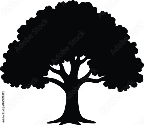 vector silhouette, oak tree with broad rounded canopy, single trunk, solid black