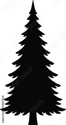 vector silhouette, pine tree tall conical form, layered branches, solid black