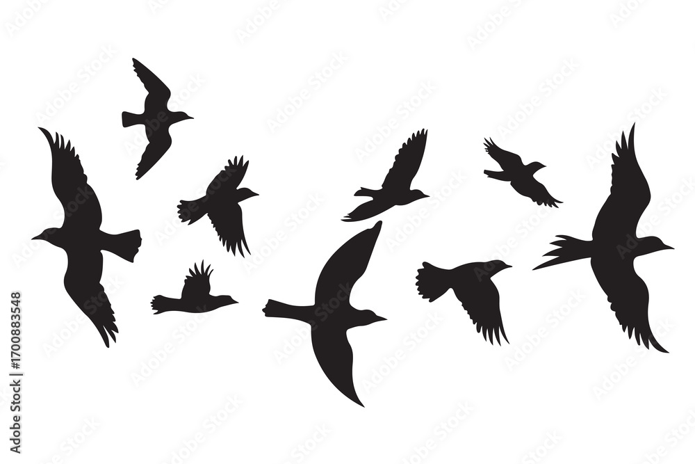 Fototapeta premium Flock of black birds in flight silhouette flying