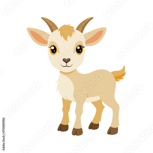 Baby Goat Kid on White Background
