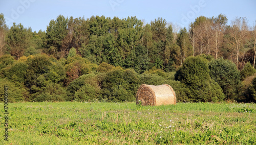 a bale of hay in the field