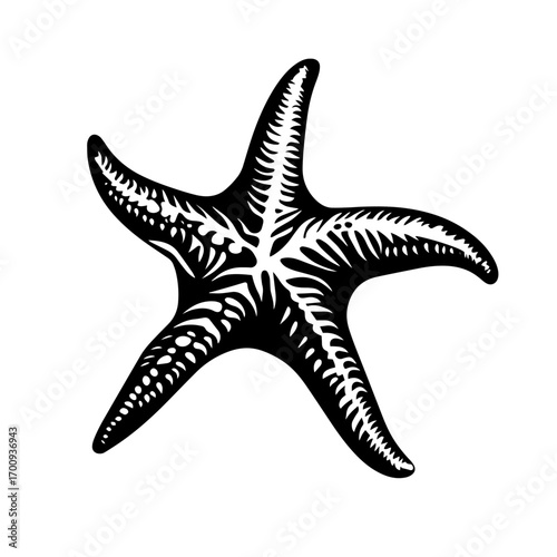 Textured starfish silhouette with five arms, seaside marine life vector illustration icon