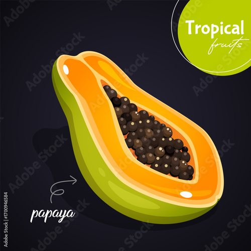 Vector cartoon illustration of papaya tropical fruit with lettering isolated on gradient black background. Exotic design for food art, healthy eating, poster.