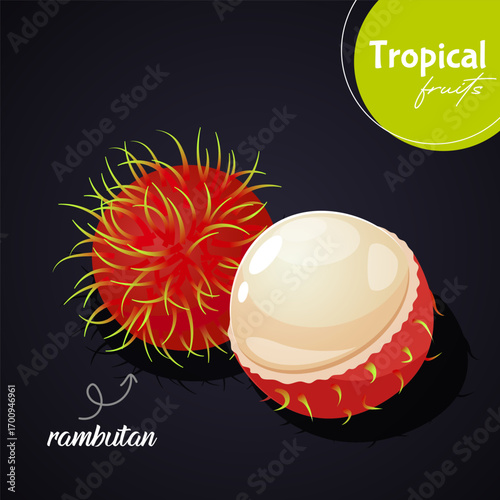 Vector cartoon illustration of rambutan tropical fruit with lettering isolated on gradient black background. Exotic design for food art, healthy eating, poster.