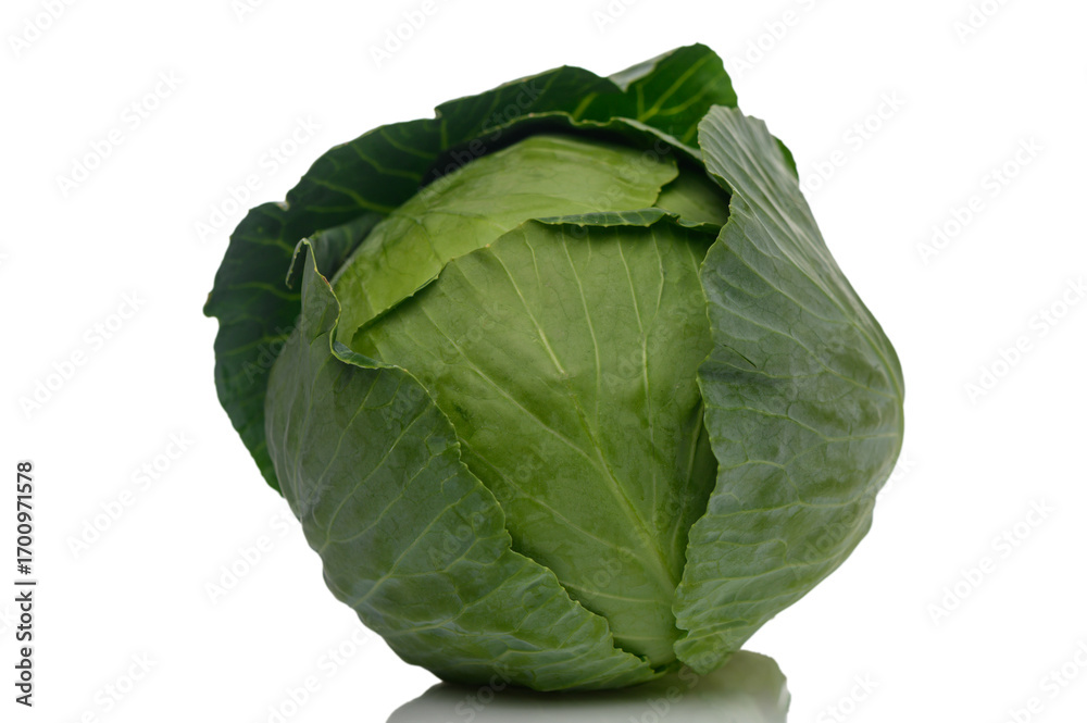 Fototapeta premium Organic Young Green Cabbage on White Background