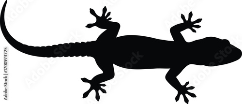 Lizard silhouette vector illustration, ideal for reptile designs, wildlife themes, nature projects, educational content, animal graphics, and logos.