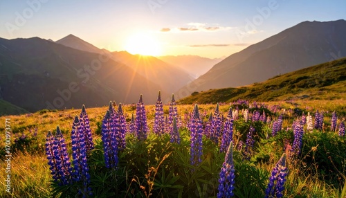 Sunset over mountains with wildflowers and nature landscape.