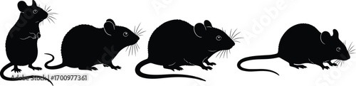 Vector silhouette of different mice in various poses, black mouse animal clipart for wildlife, pest control, rodent-themed design.