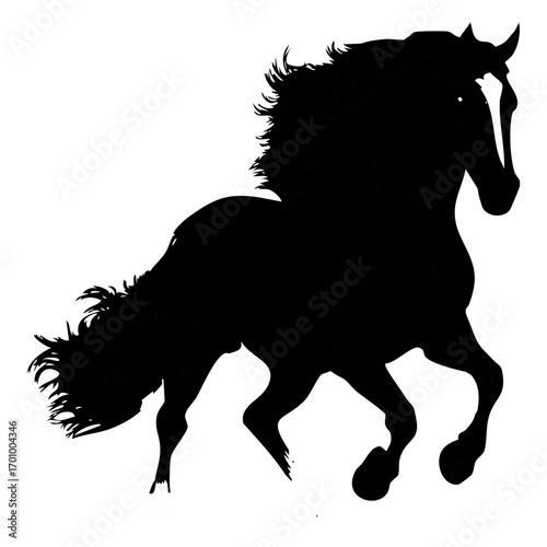 Hosre Illustration