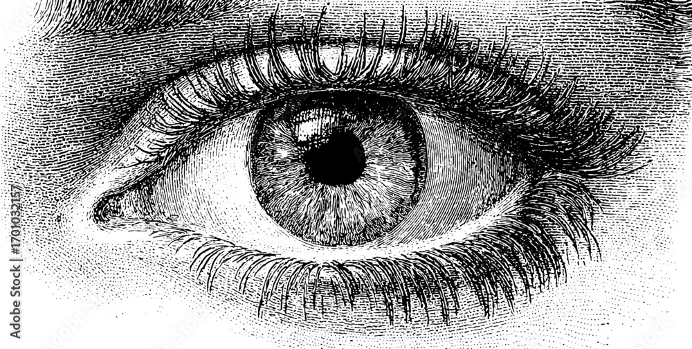 Obraz premium Vintage engraving style illustration of female eye - retro hand-drawn design