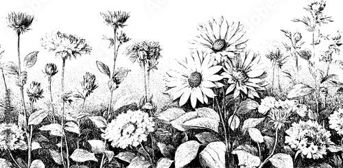Vintage botanical illustration of floral bouquet for retro design