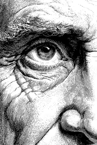 Vintage engraving style close-up eye and forehead illustration