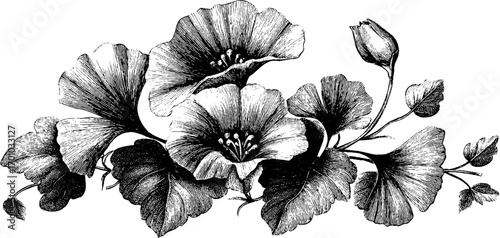 Vintage engraving of ginkgo leaves and blossoms with art nouveau style