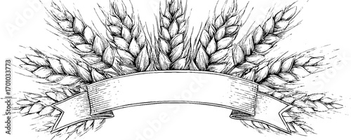 Vintage harvest illustration with wheat sheaves and banner for retro labels or designs