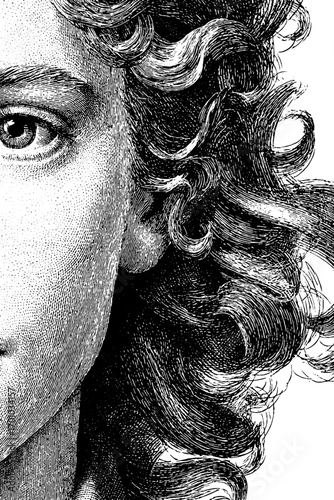 Vintage engraving style illustration of human hair for classic design projects