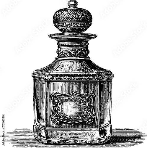 Vintage engraving style illustration of luxury perfume bottle for retro design projects