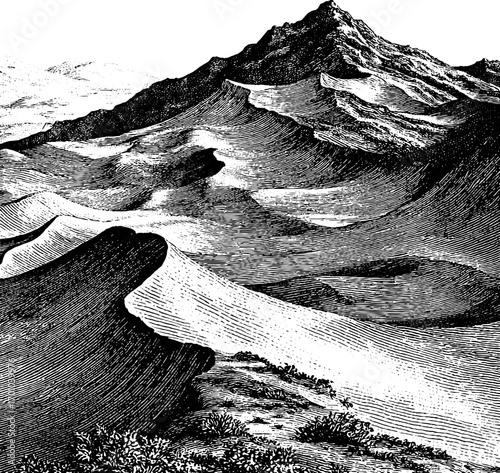 Vintage engraving style illustration of majestic sand dunes in desert landscape