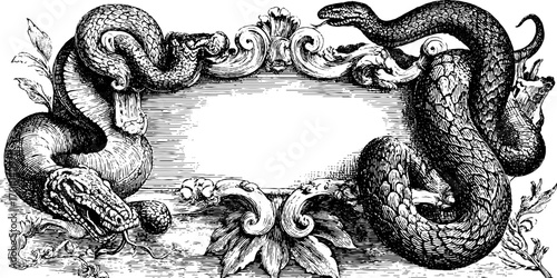 Vintage engraving style illustration of snakes and ornate decor for retro design