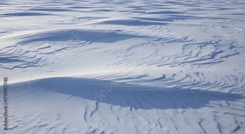 Snow-covered expanse showcasing wind-sculpted drifts and undulating formations creating unique