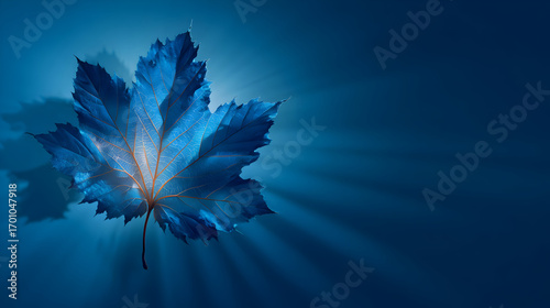 Illustration - Blue Leaf, Light Rays, Nature Background