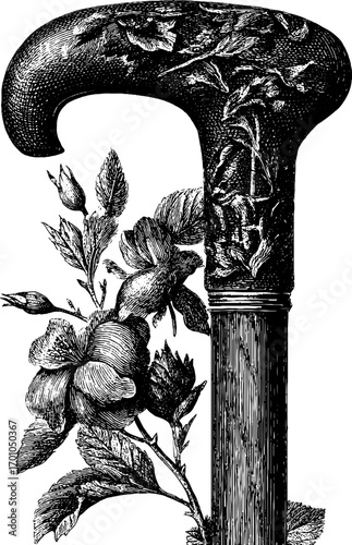 Vintage walking cane with floral design in engraving style for retro art decor