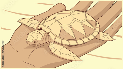Geometric Turtle Art Minimal Hand Illustration