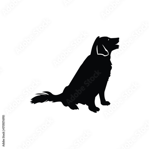 Golden Retriever Dog Silhouette. Vector Pet Outline Illustration