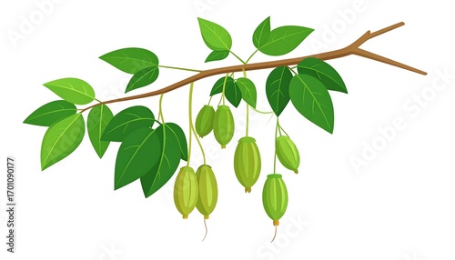 Wallpaper Mural A stylized illustration of a branch with vibrant green leaves and small, light-green fruits hanging downwards. Torontodigital.ca