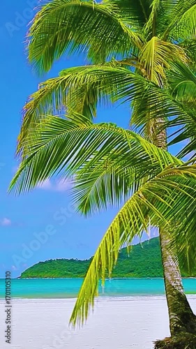 tropical beach with palm trees