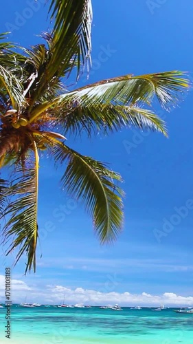 tropical beach with palm trees