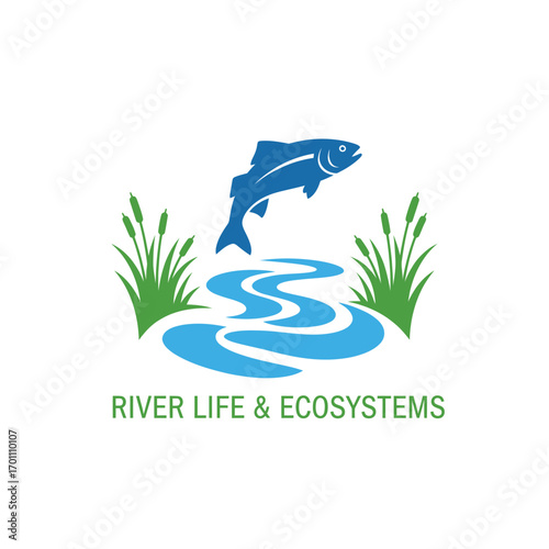 river water nature ecosystem environment life 