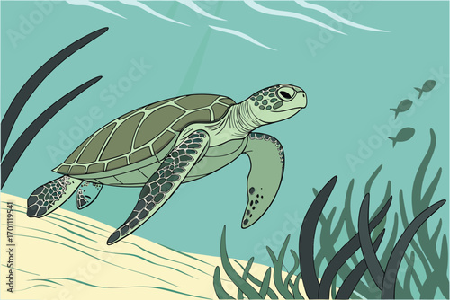 Green sea turtle swims in clear blue ocean water with sand and seaweed underwater marine life
