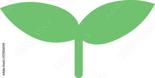 새싹