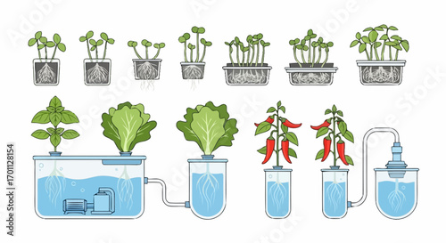 Hydroponic Growing Systems Vector Illustration for Sustainable Agriculture, Indoor Gardening, and Educational Resources on Modern Farming Techniques