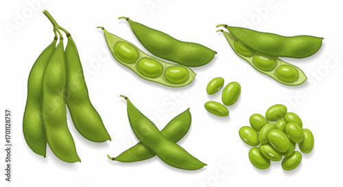 Fresh Edamame Pods and Shelled Beans Illustration Depicting Healthy Food Choices and Culinary Applications for Nutritional Education